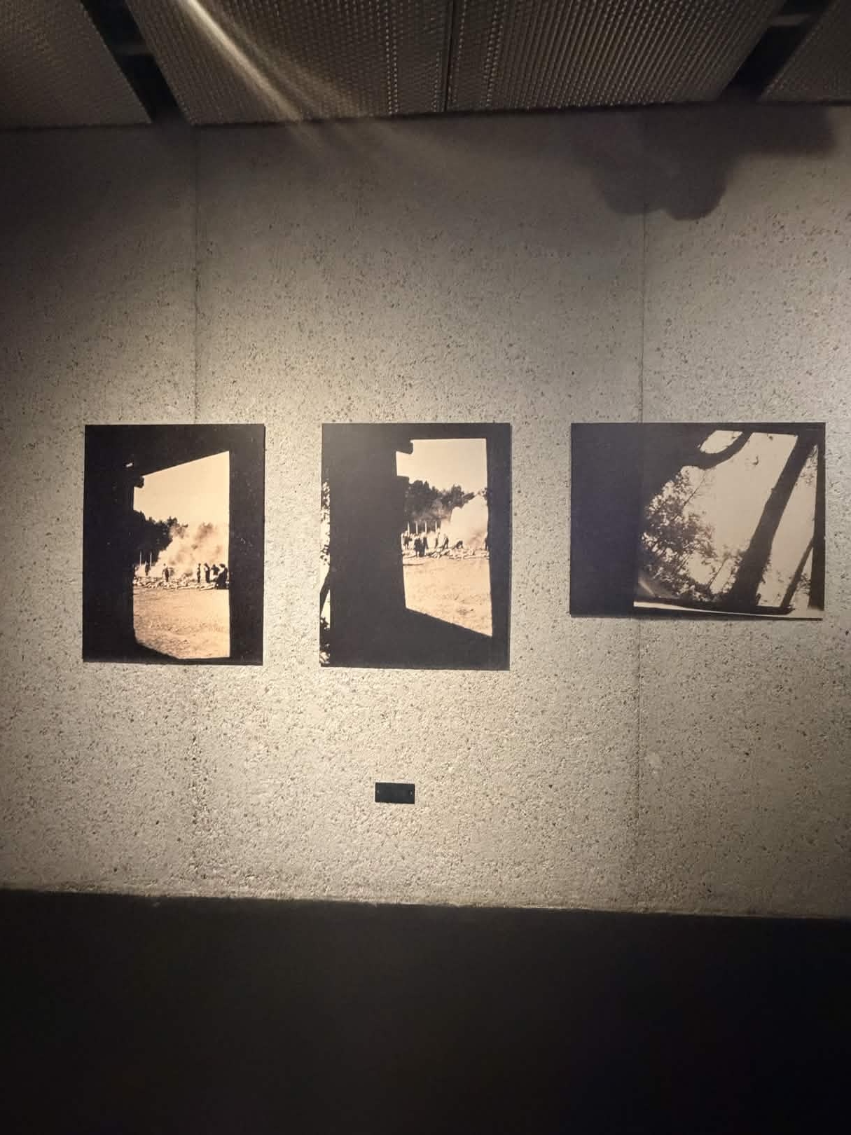 Expo